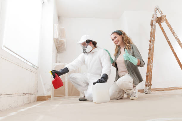 Reliable Louisville, IL Mold Inspection, Removal & Remediation Solutions